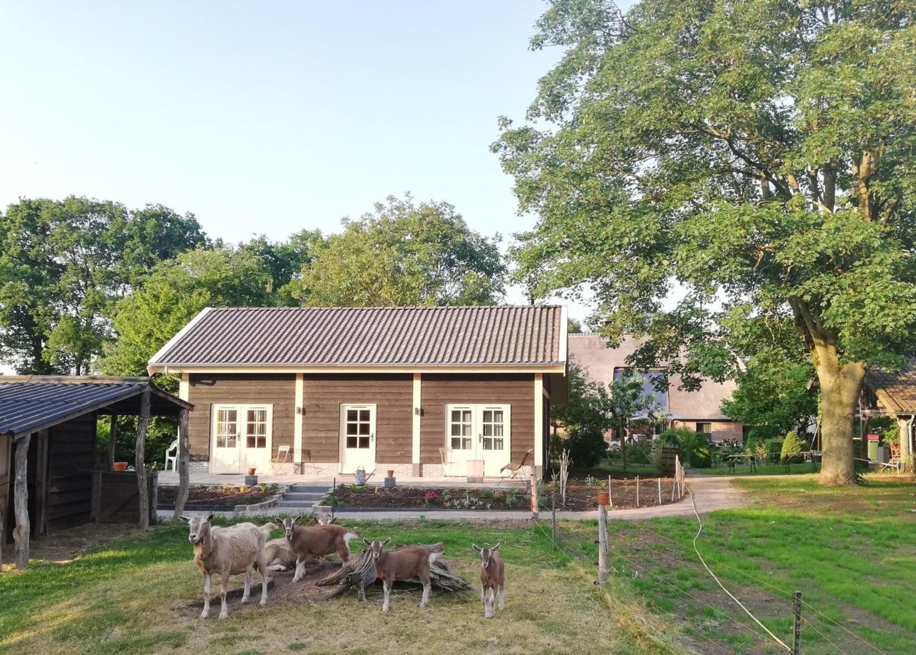 Logeren Bij De Soerensesteeg Uddel Exterior foto
